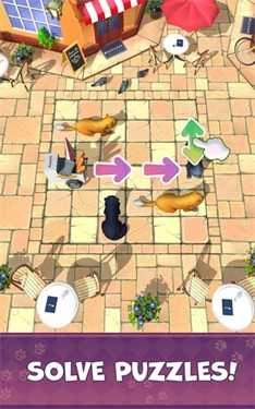 不好了猫(Oh No! Cats!)图3