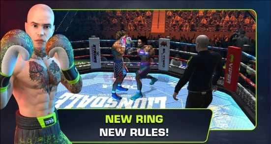 终极拳击冠军图4