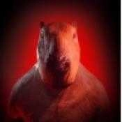 卡皮巴拉公园 v1.0