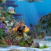 3D水族馆动态壁纸(3D Aquarium) .3
