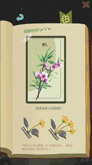 老农种树正版(3)