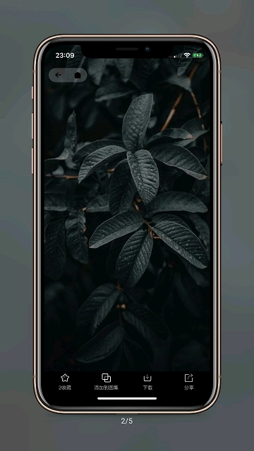 纸塘壁纸手机版