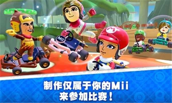 马里奥赛车巡回赛国际服(Mario Kart)图1