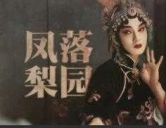 鬓边性转凤落梨园 