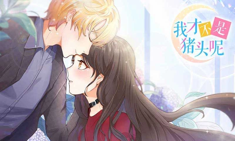 我才不是猪头呢图3