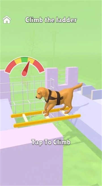 狗子特训营（Hyper Dog Training）图3