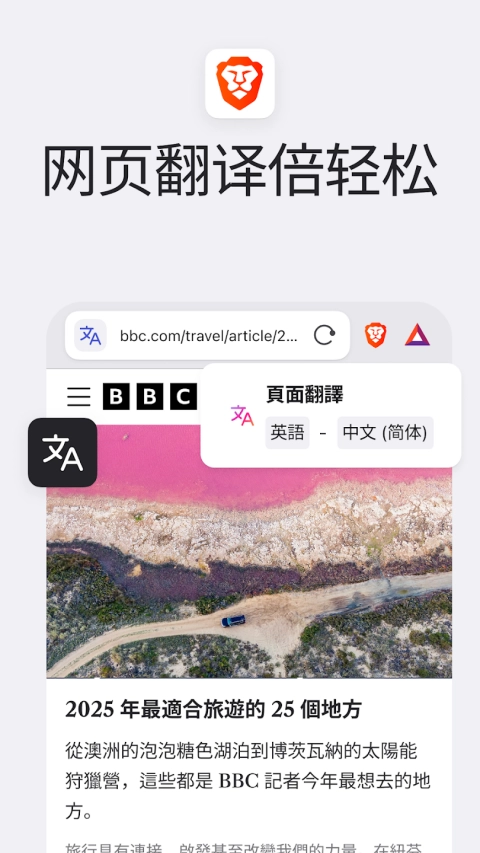 Brave浏览器中文版图3