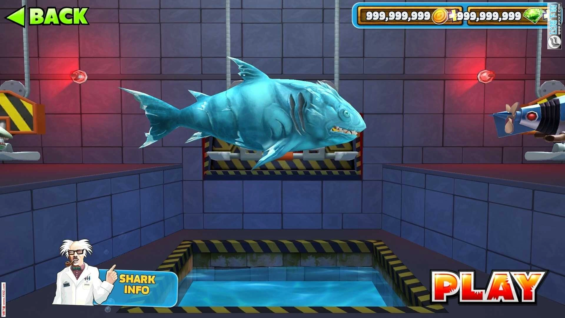 饥饿鲨进化国际服菜单版图1