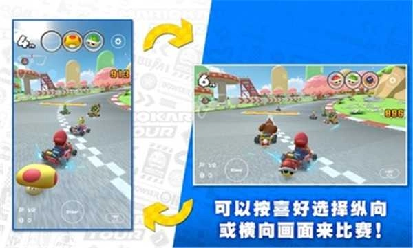 马里奥赛车巡回赛国际服(Mario Kart)图2