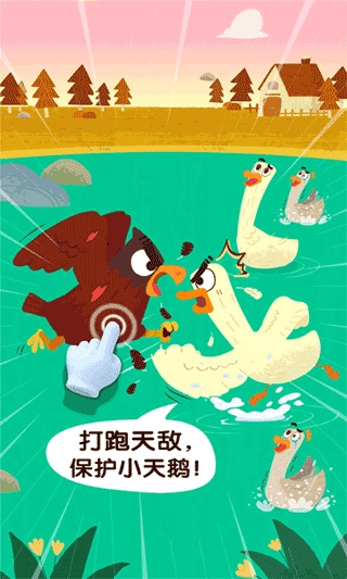 宝宝鸟类认知-图4