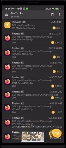 HttpCanary高级版图3