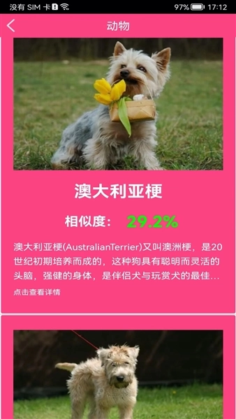 拍照识花神器
