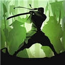 暗影格斗2满级MOD 