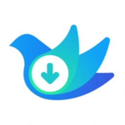 云雀idm网页视频器 