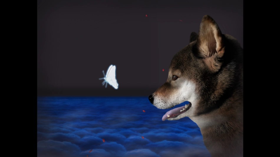 翌日波奇狗的历险记图2