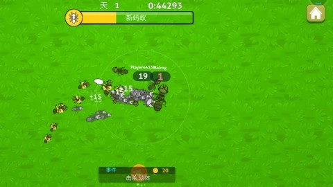 蚂蚁计划大作战(2)