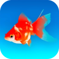 金鱼模拟器