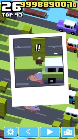 哈基米过马路(1)