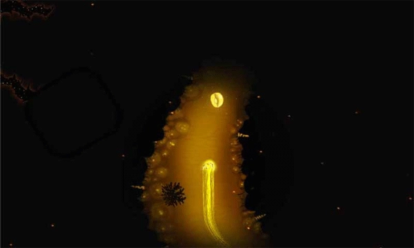 生命之潮 Waves Of Life圖2