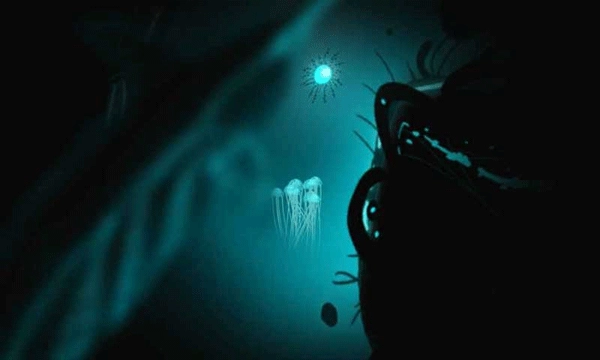 生命之潮 Waves Of Life圖4