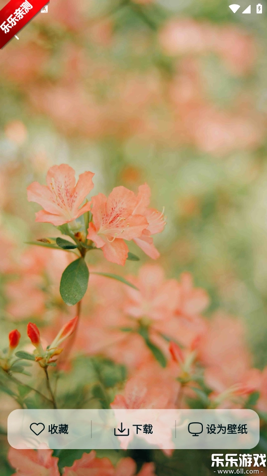 跃动壁纸最新版-图5