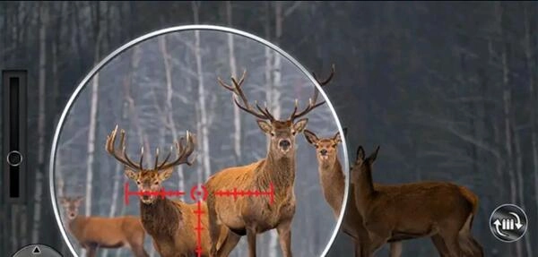 枪战突击王者游戏(3)