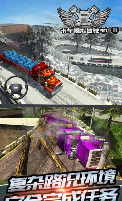 卡车模拟驾驶3D(1)