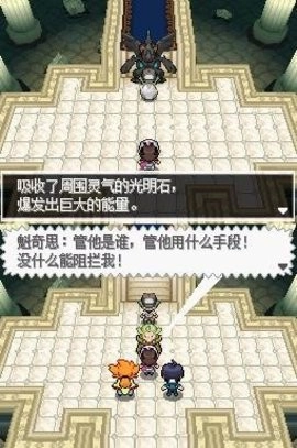 口袋妖怪黑白中文版图4