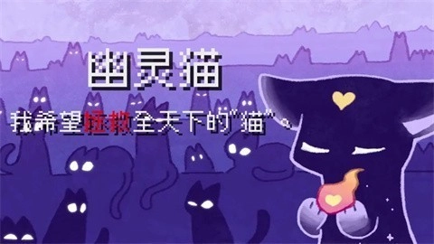 对人类过敏的猫图2