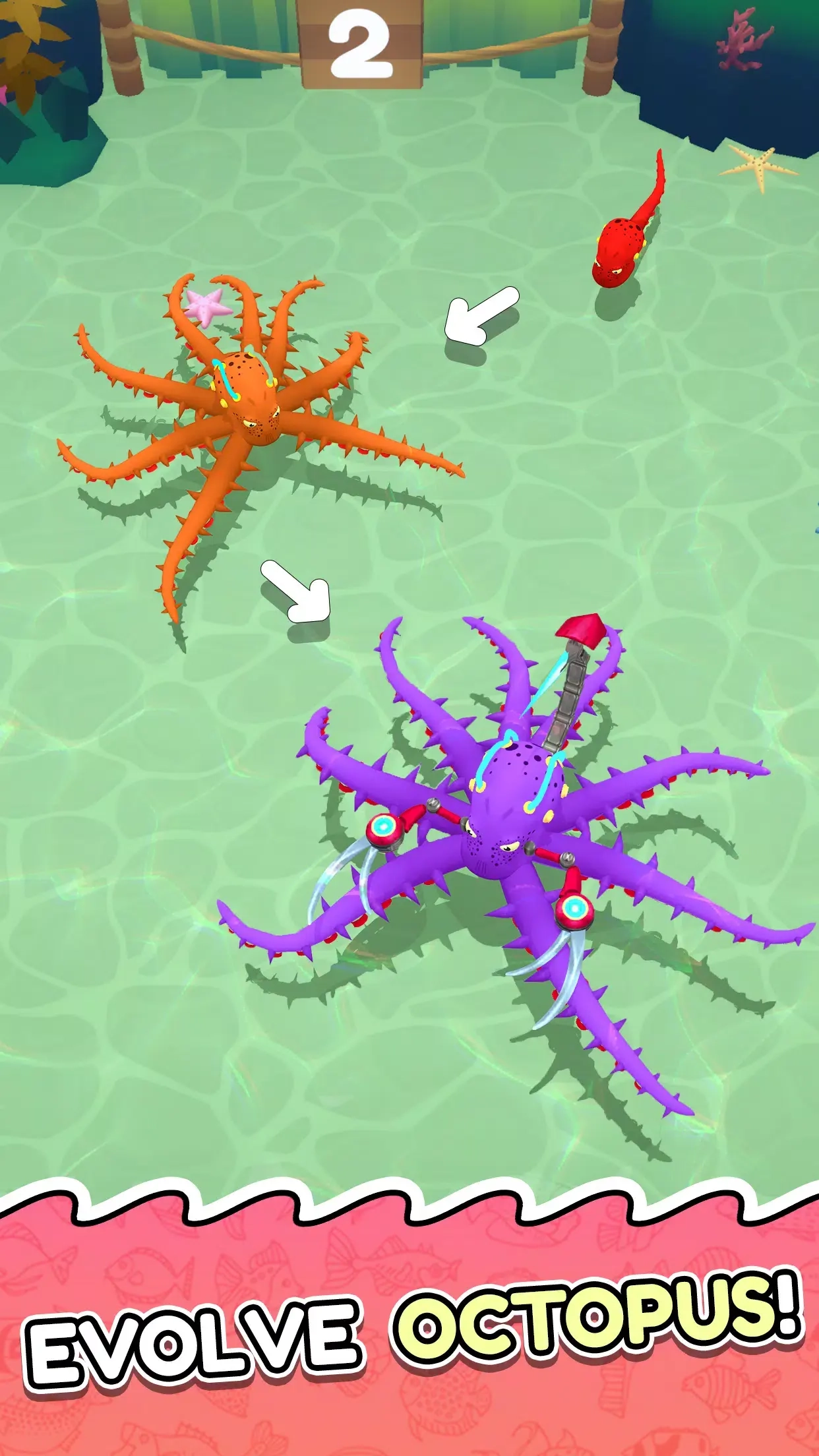 章鱼入侵进食与进化