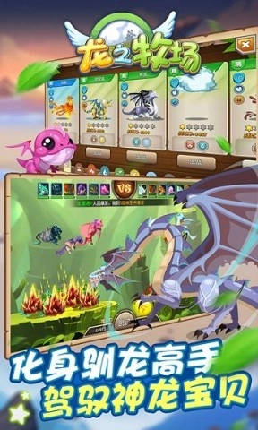 育龙高手国际服图1