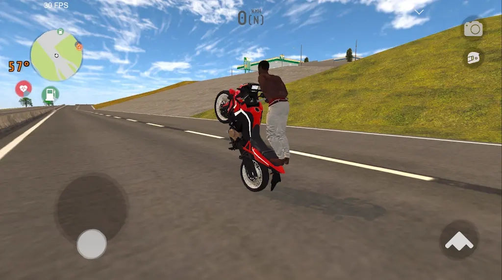 巴西精英赛车图1