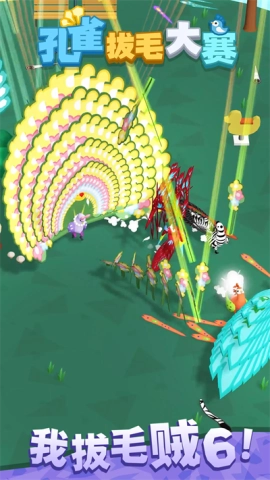 孔雀拔毛大赛图2