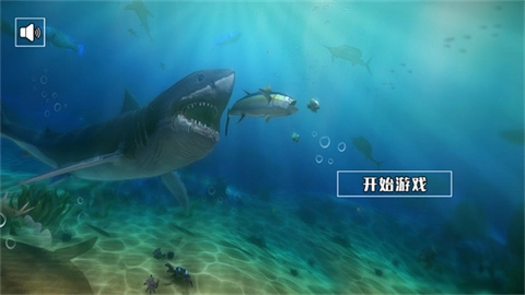 饥饿鲨鱼求生