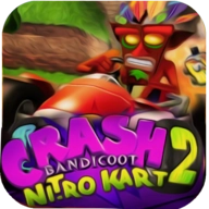 Bandicoot Nitro Kart2