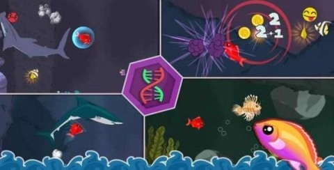 饥饿的小红鱼旧版-图3