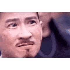 渣渣辉动态表情包 图2