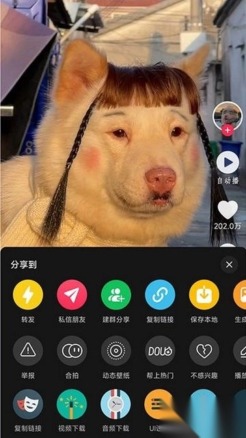 逗音小能手最新版