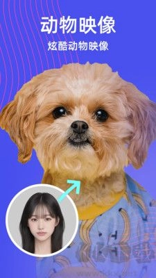 炫影相机免费版图2