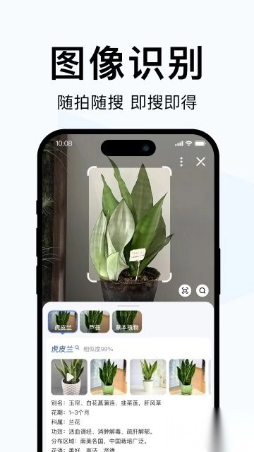 简单搜索最新版图1