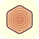 年轮单词最新版