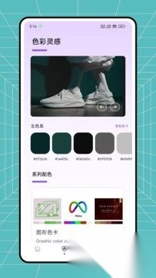 色素解析正版(1)