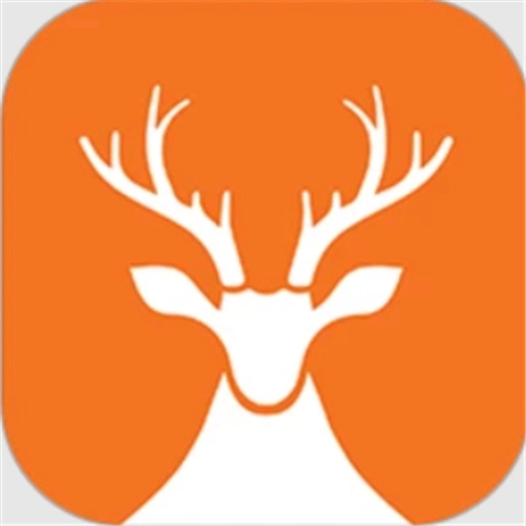 前途问鹿最新版