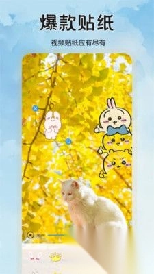 水印拍照免费版图2