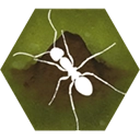 最后的蚂蚁(Finally Ants)