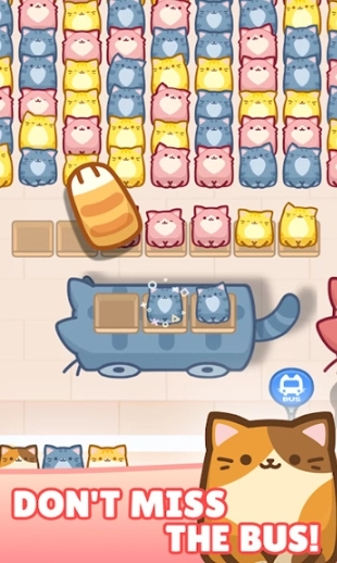 布洛卡猫果酱(3)