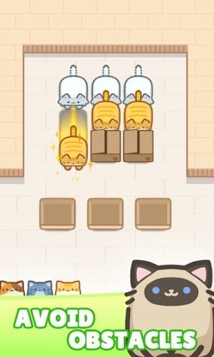 布洛卡猫果酱(2)