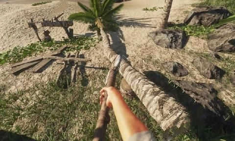 荒岛方舟生存模拟(2)