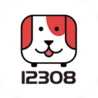 12308全国汽车票