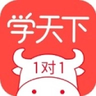 学天下1对1